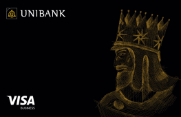Visa Busniess