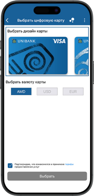 Visa digital card instruction